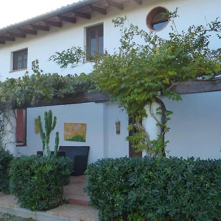 Вилла Cortijo Con Encanto Кульера Экстерьер фото
